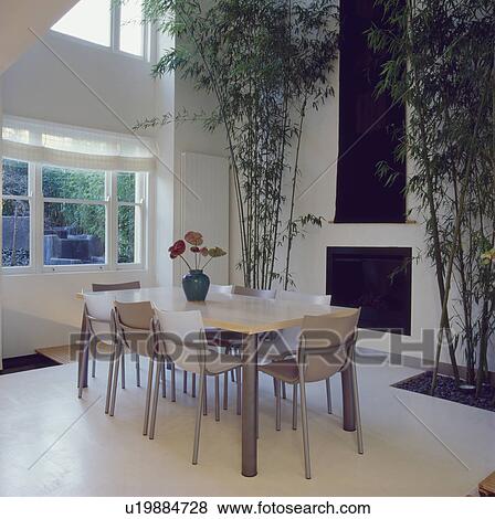 Stock Photo - Philippe Starck 'Cheap Chic' chairs in modern diningroom with concrete floor and large bamboo houseplants on either side of black Japanese wall-hanging. Fotosearch