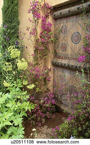 Stock Photo - Pink bougainvillea and decorated wall in walled summer garden. Fotosearch