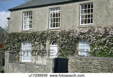 Pink climbing rose on traditional stone house in country village View Large Photo Image Stock Photo - Pink climbing rose on traditional stone house in country village . Fotosearch