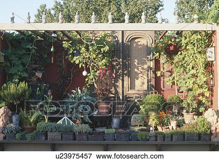 Stock Photo - Plants in pots on Moroccan-style patio. Fotosearch