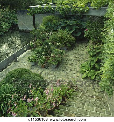 Pond and paving in town garden View Large Photo Image Stock Image - Pond and paving in town garden. Fotosearch
