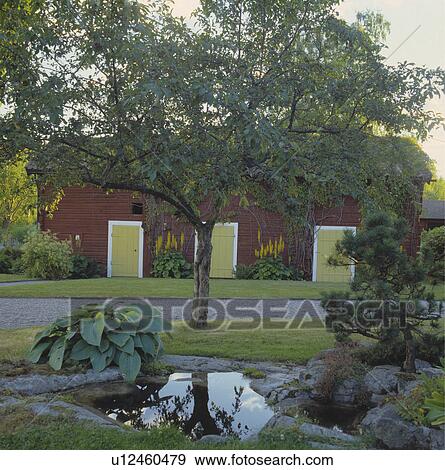 Pond and tree in front of traditional barn conversion View Large Photo Image Stock Photo - Pond and tree in front of traditional barn conversion. Fotosearch