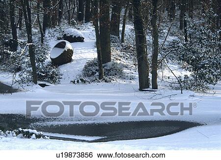 Stock Photograph - Pond in woodland garden with snow. Fotosearch