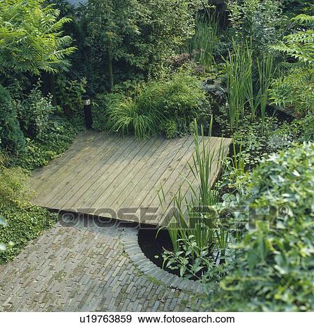 Stock Photo - Pond with decking and water plants in town garden. Fotosearch