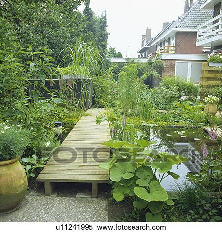Pond with decking and water plants in town garden View Large Photo Image Stock Photography - Pond with decking and water plants in town garden. Fotosearch