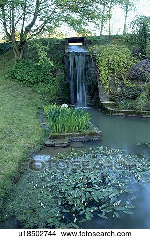 Picture - Pond with waterfall in country garden. Fotosearch