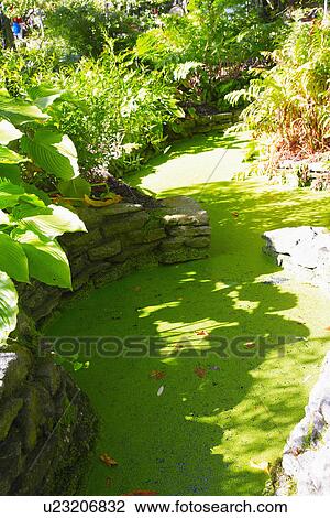ponds, water, walls, gardens View Large Photo Image Stock Image - ponds, water, walls, gardens. Fotosearch
