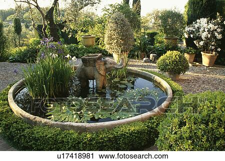 Raised circular pond and green plants in summer country garden View Large Photo Image Stock Image - Raised circular pond and green plants in summer country garden. Fotosearch