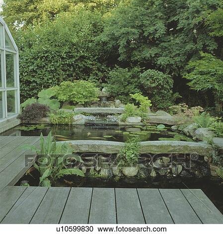Stock Image - Raised pond and green plants in summer country garden. Fotosearch