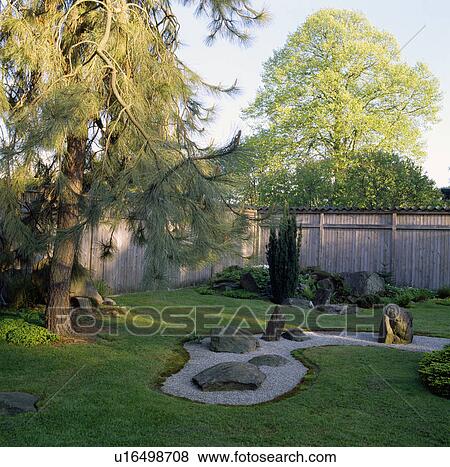 Raked gravel bed with rocks in grass with a Hymalayan pine View Large Photo Image Stock Photo - Raked gravel bed with rocks in grass with a Hymalayan pine. Fotosearch