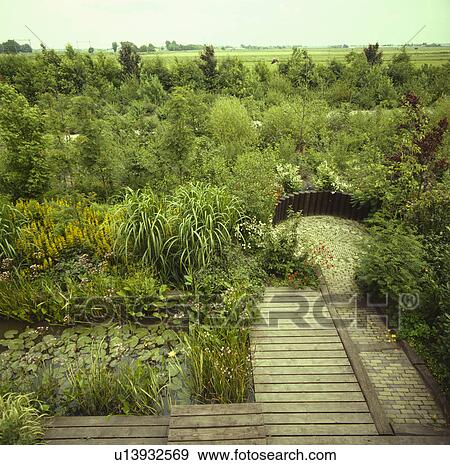 Rectangular pond and decking in country garden in summer View Large Photo Image Stock Photo - Rectangular pond and decking in country garden in summer. Fotosearch