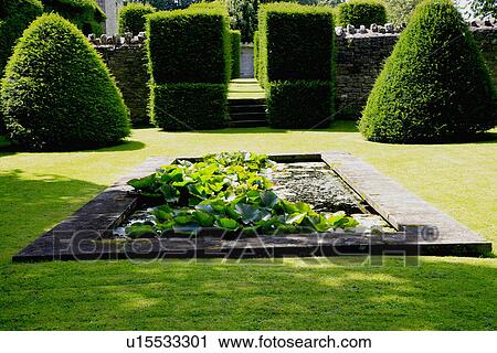 Rectangular pond and topiary in formal garden at "Westwood Manor" View Large Photo Image Stock Image - Rectangular pond and topiary in formal garden at "Westwood Manor". Fotosearch