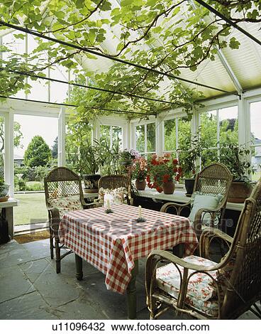 Red and white check gingham tablecloth on table in conservatory underneath vine View Large Photo Image Stock Image - Red and white check gingham tablecloth on table in conservatory underneath vine. Fotosearch