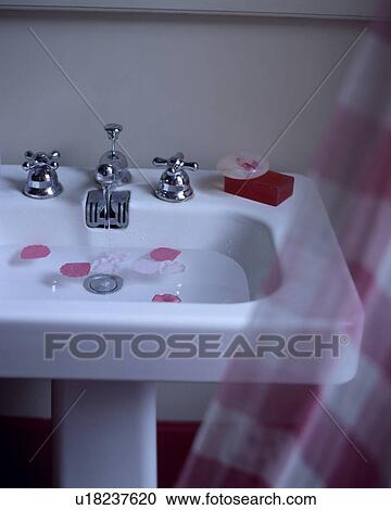 Stock Image - Rose petals floating in white pedestal basin with chrome taps. Fotosearch