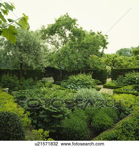 Stock Image - Shrubs and plants in green-themed border in large country garden in summer . Fotosearch