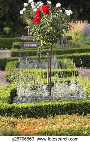Stock Photo - shrubs, trees, beds, formal, gardens. Fotosearch