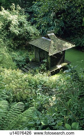 Stock Photograph - Small Japanese-style water feature in country garden. Fotosearch