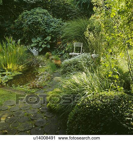 Stock Image - Small natural pond in country garden in summer. Fotosearch