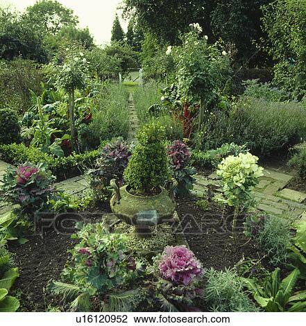 Small shrubs in pots in country garden View Large Photo Image Stock Image - Small shrubs in pots in country garden. Fotosearch