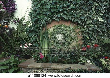 Picture - Small water feature in town garden. Fotosearch