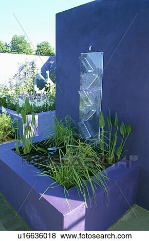 Stock Photo - Small water feature with grasses against bright blue wall. Fotosearch