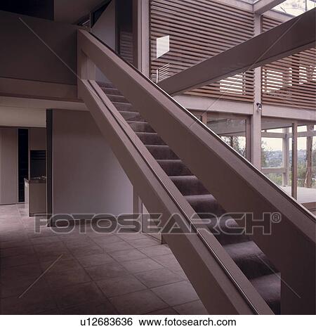 Staircase with grey carpet in modern architectural hall with glass wall and white tiled floor View Large Photo Image Stock Photograph - Staircase with grey carpet in modern architectural hall with glass wall and white tiled floor. Fotosearch