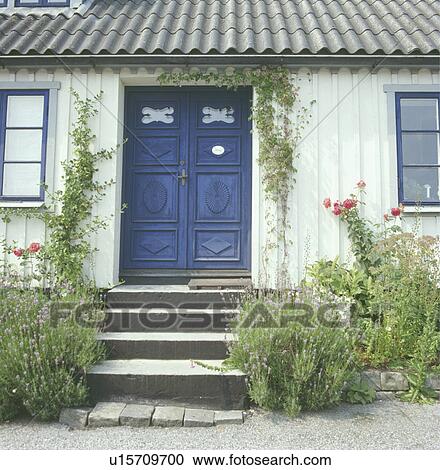 Stock Image - Steps up to blue double doors on traditional single storey house. Fotosearch