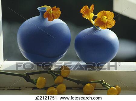 Still-life of blue vases and nasturtiums View Large Photo Image Stock Image - Still-life of blue vases and nasturtiums. Fotosearch