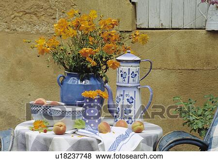 Still-Life of blue+white coffeepot and orange flowers View Large Photo Image Stock Photo - Still-Life of blue+white coffeepot and orange flowers. Fotosearch