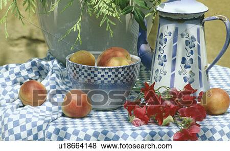 Stock Photo - Still-Life of blue+white coffeepot and bowl. Fotosearch
