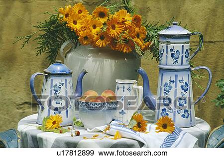 Stock Photo - Still-Life of blue+white coffeepots marigolds. Fotosearch