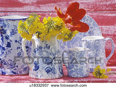 Stock Photo - Still-Life of blue+white jugs and yellow wallflowers. Fotosearch