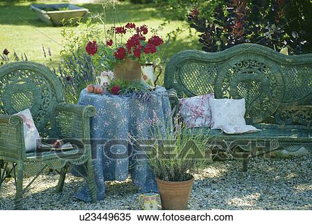 Still-life of cane furniture and lavender in pot View Large Photo Image Stock Photography - Still-life of cane furniture and lavender in pot . Fotosearch