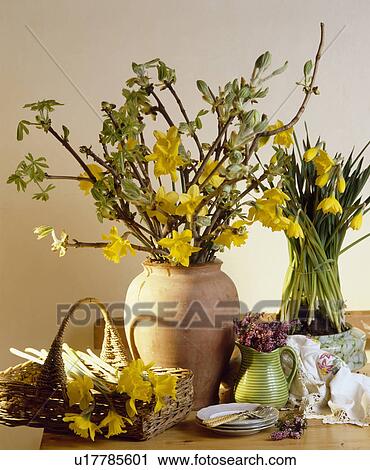 Stock Image - Still-Life of daffodils. Fotosearch