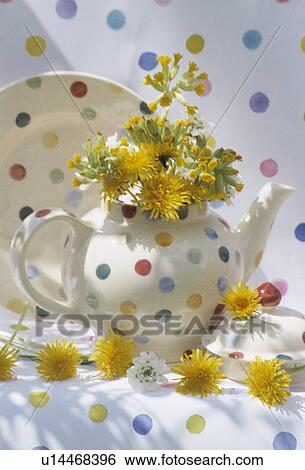 Stock Photograph - Still-Life of dandelions in spotted teapot. Fotosearch