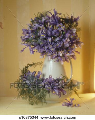 Picture - Still-Life of floral arrangement of blue irises. Fotosearch