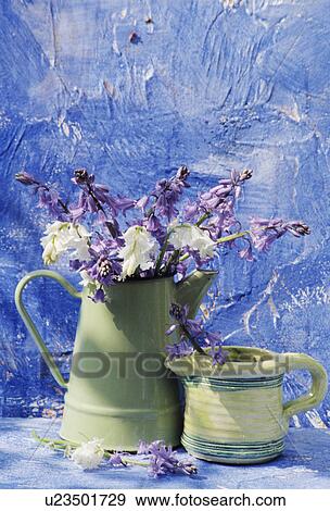 Stock Photo - Still-Life of green jugs and bluebells. Fotosearch