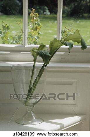 Stock Photo - Still-Life of green leaves. Fotosearch
