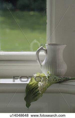 Still-Life of lily-of-the-valley and white jug View Large Photo Image Stock Photo - Still-Life of lily-of-the-valley and white jug. Fotosearch