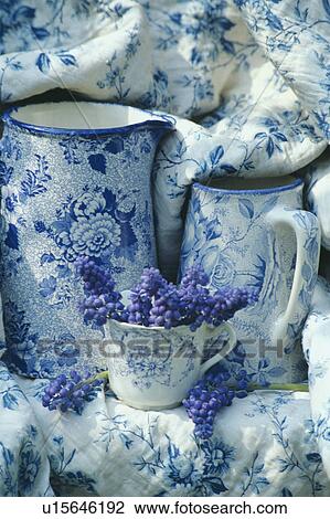 Still-Life of muscari and blue+white jugs View Large Photo Image Stock Image - Still-Life of muscari and blue+white jugs. Fotosearch
