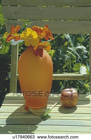 Stock Image - Still-Life of nasturtiums in orange vase. Fotosearch