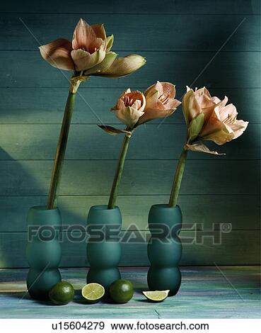 Stock Photo - Still-Life of pink amaryllis in green glass vases. Fotosearch
