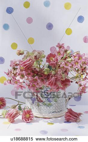 Stock Photography - Still-Life of pink flowers in small floral arrangement. Fotosearch