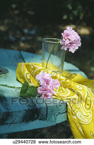 Still-Life of pink geraniums and yellow fabric View Large Photo Image Stock Photo - Still-Life of pink geraniums and yellow fabric. Fotosearch