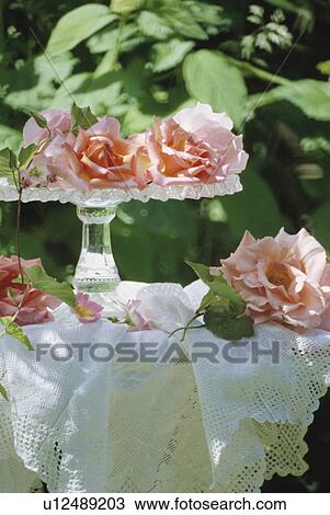 Stock Image - Still-Life of pink roses. Fotosearch