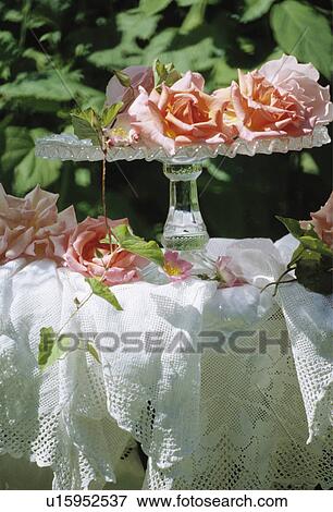 Stock Photo - Still-Life of pink roses. Fotosearch