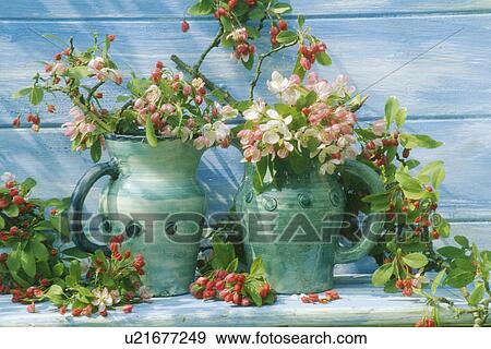 Stock Photo - Still-Life of pink spring blossom. Fotosearch