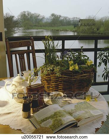 Still-Life of primroses in basket on table with view of river View Large Photo Image Stock Image - Still-Life of primroses in basket on table with view of river. Fotosearch