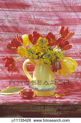 Stock Photograph - Still-Life of red and yellow tulips in yellow jug. Fotosearch
