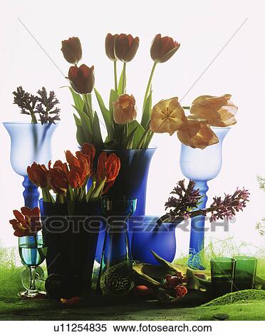 Stock Photography - Still-Life of red and yellow tulips in blue vases. Fotosearch